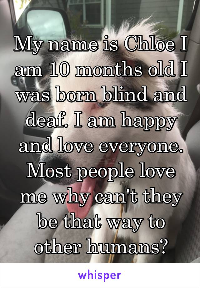 My name is Chloe I am 10 months old I was born blind and deaf. I am happy and love everyone. Most people love me why can't they be that way to other humans?