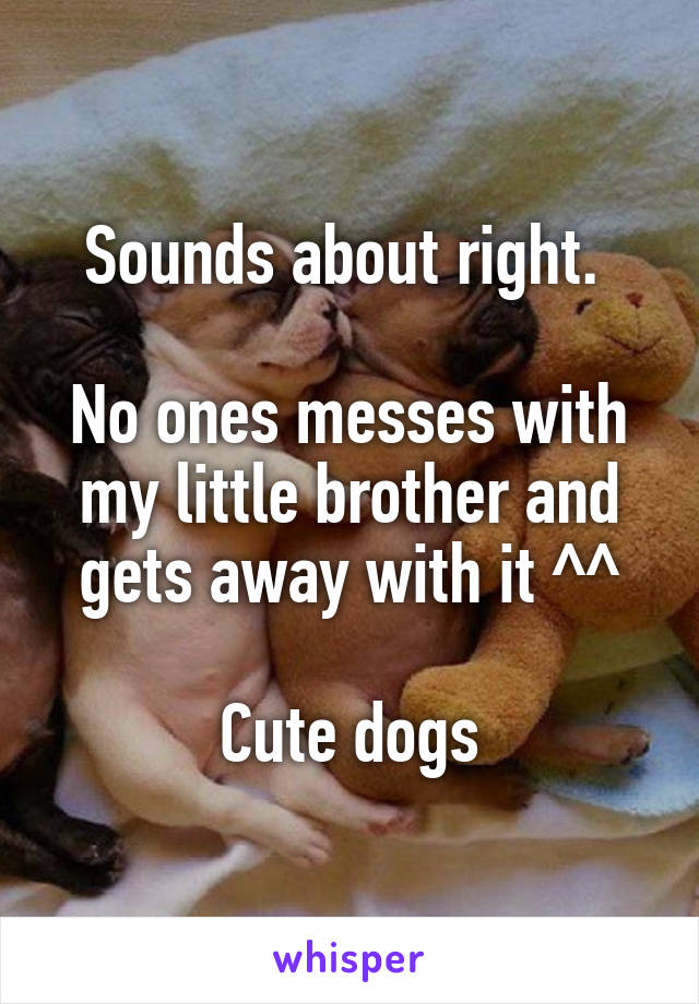 Sounds about right. 

No ones messes with my little brother and gets away with it ^^

Cute dogs