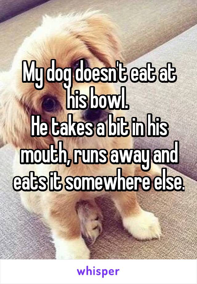 My dog doesn't eat at his bowl. 
He takes a bit in his mouth, runs away and eats it somewhere else.  