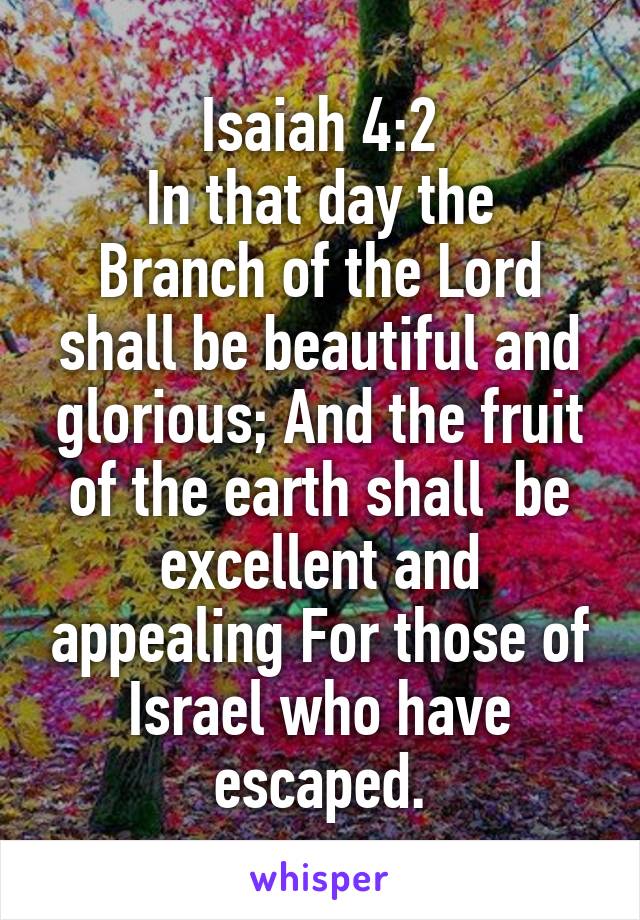 Isaiah 4:2
In that day the Branch of the Lord shall be beautiful and glorious; And the fruit of the earth shall  be excellent and appealing For those of Israel who have escaped.