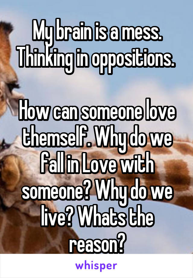 My brain is a mess. Thinking in oppositions. 

How can someone love themself. Why do we fall in Love with someone? Why do we live? Whats the reason?