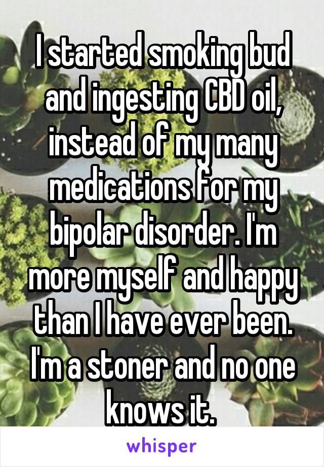 I started smoking bud and ingesting CBD oil, instead of my many medications for my bipolar disorder. I'm more myself and happy than I have ever been. I'm a stoner and no one knows it. 