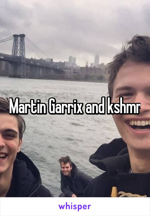 Martin Garrix and kshmr