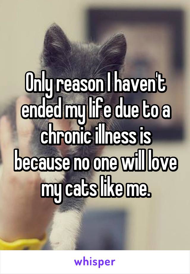 Only reason I haven't ended my life due to a chronic illness is because no one will love my cats like me.