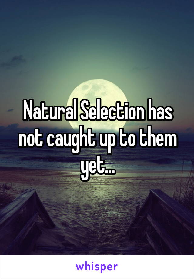 Natural Selection has not caught up to them yet...