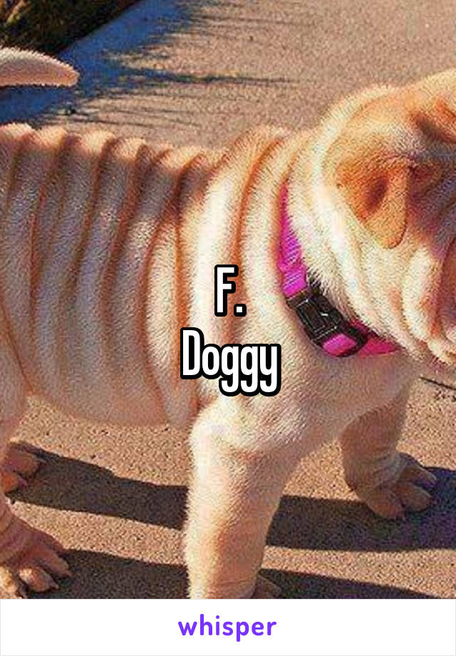 F.
Doggy