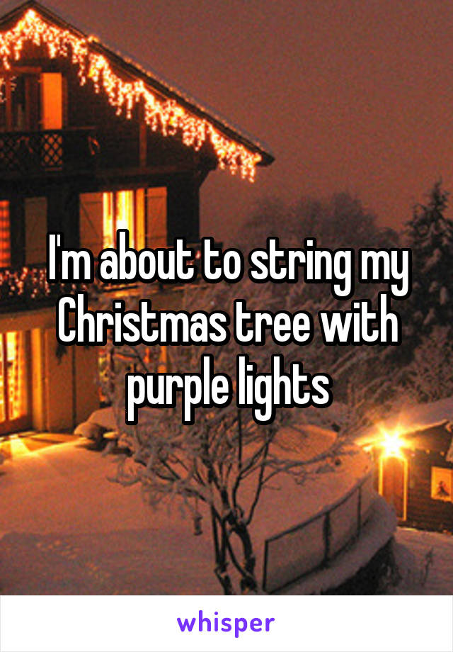 I'm about to string my Christmas tree with purple lights