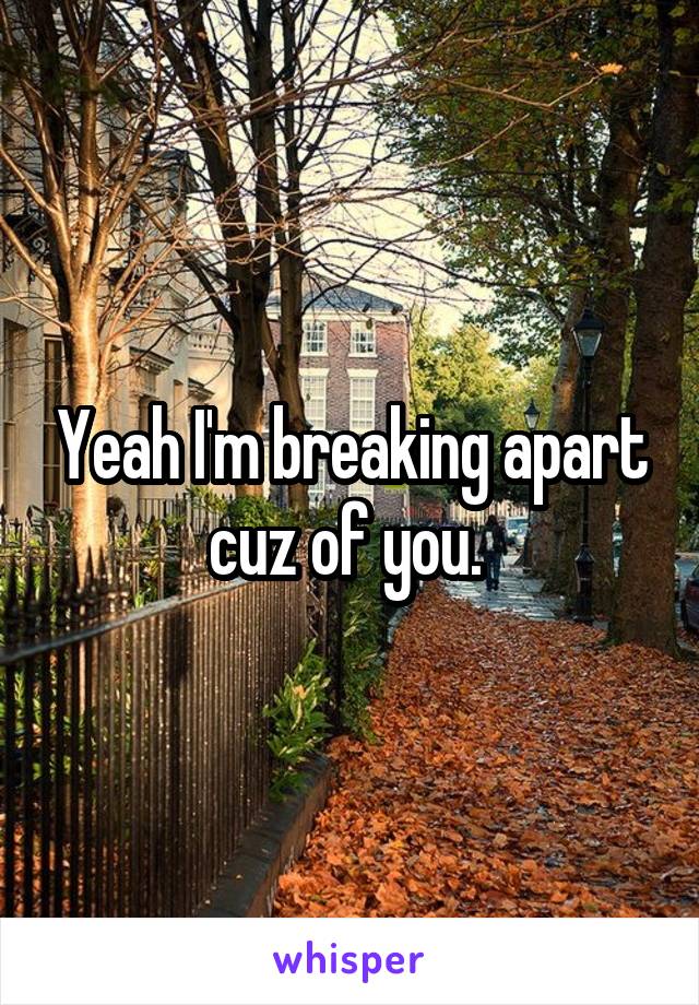 Yeah I'm breaking apart cuz of you. 