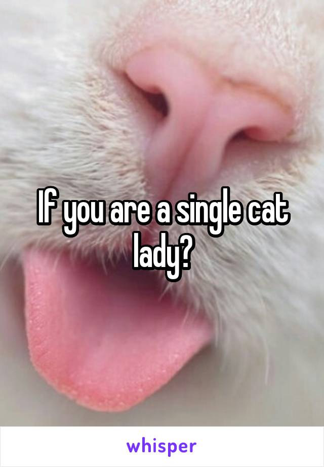 If you are a single cat lady?