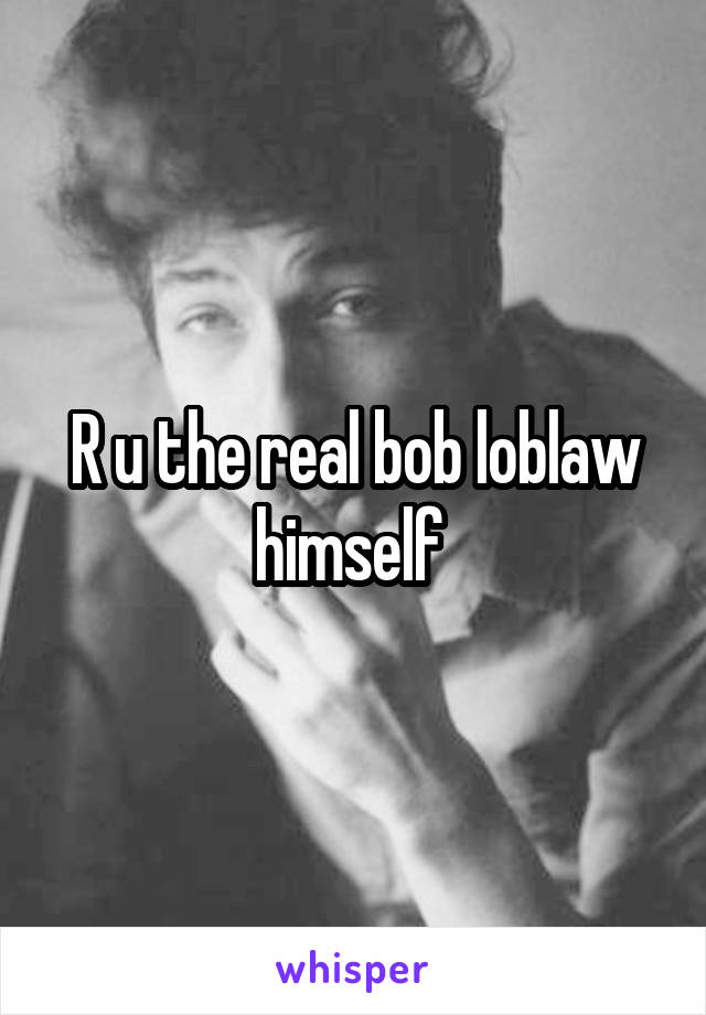 R u the real bob loblaw himself 