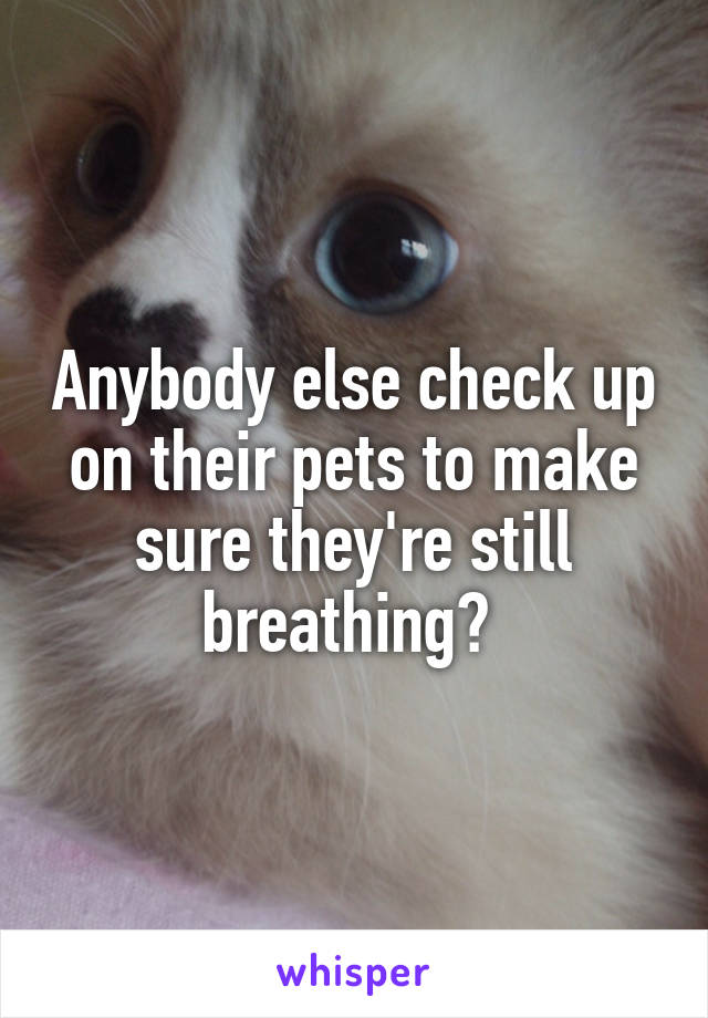 Anybody else check up on their pets to make sure they're still breathing? 