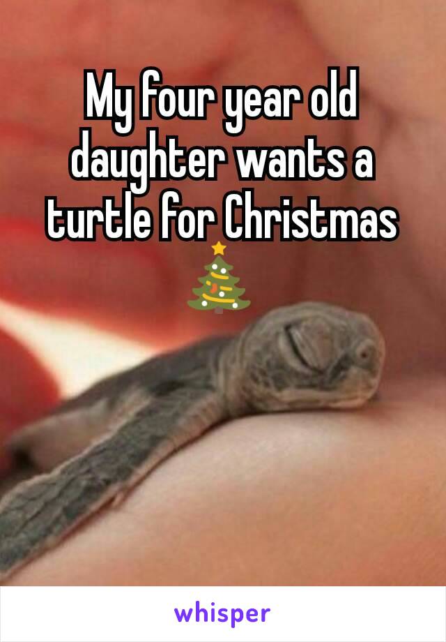 My four year old daughter wants a turtle for Christmas 🎄 