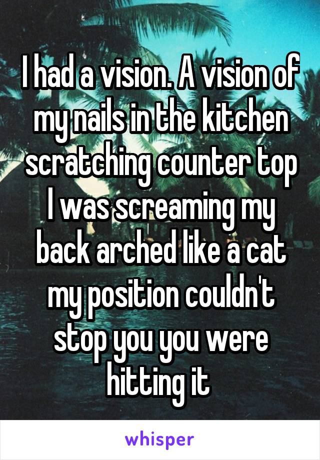 I had a vision. A vision of my nails in the kitchen scratching counter top I was screaming my back arched like a cat my position couldn't stop you you were hitting it 