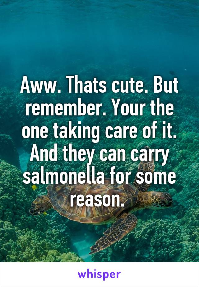 Aww. Thats cute. But remember. Your the one taking care of it. And they can carry salmonella for some reason. 