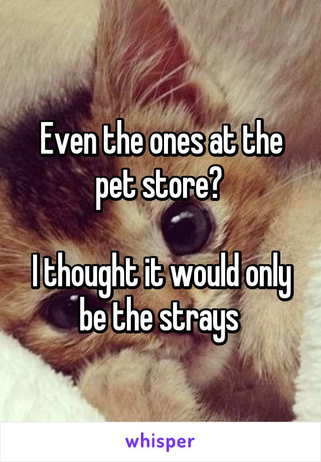 Even the ones at the pet store? 

I thought it would only be the strays 