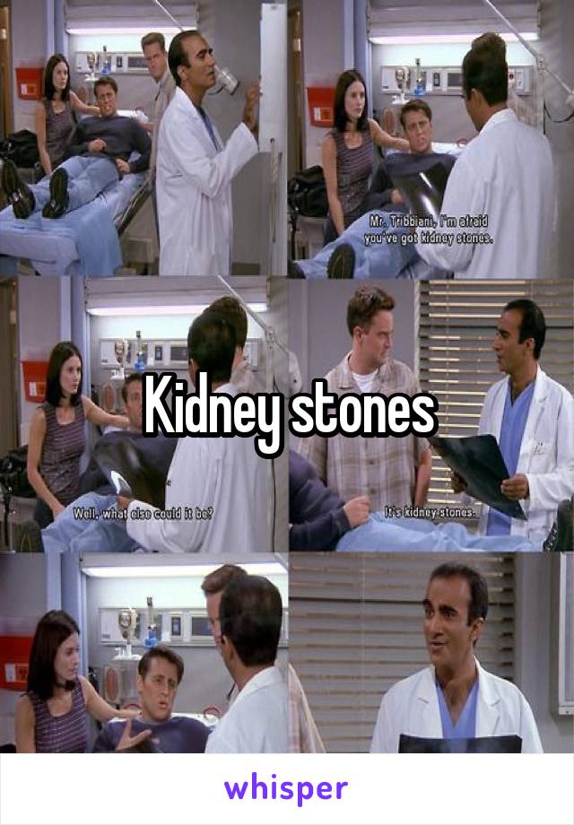 Kidney stones