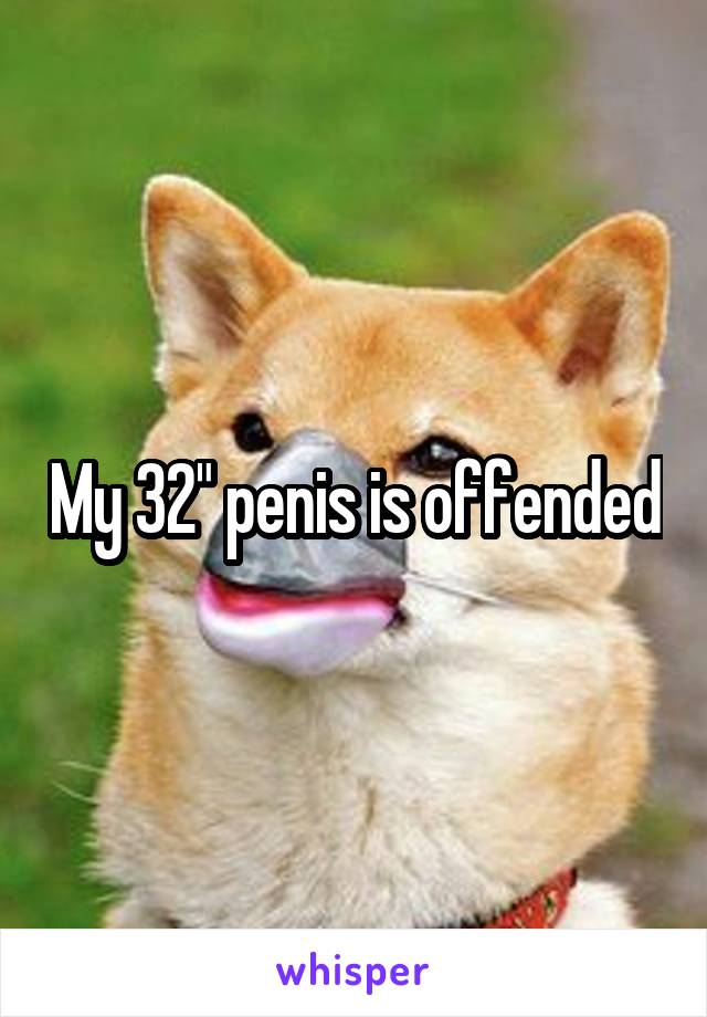 My 32" penis is offended