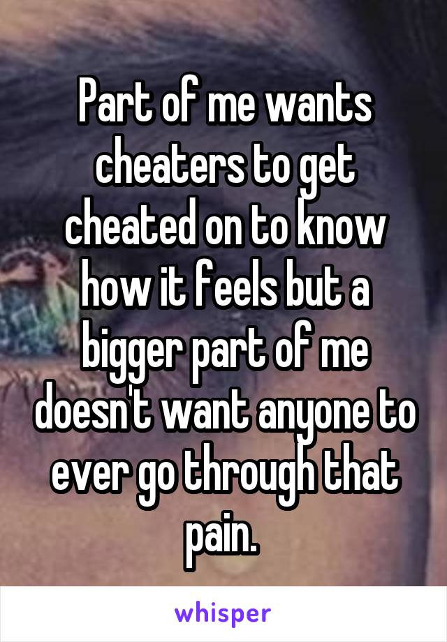 Part of me wants cheaters to get cheated on to know how it feels but a bigger part of me doesn't want anyone to ever go through that pain. 