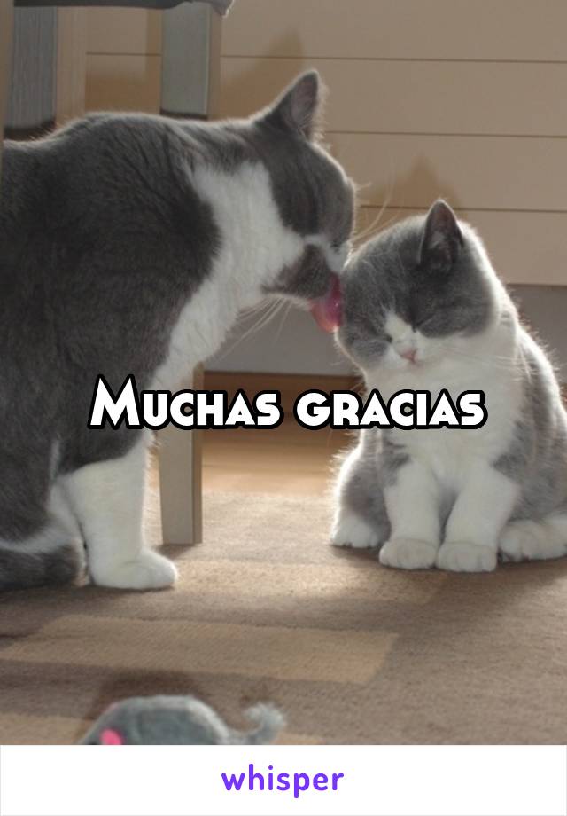 Muchas gracias