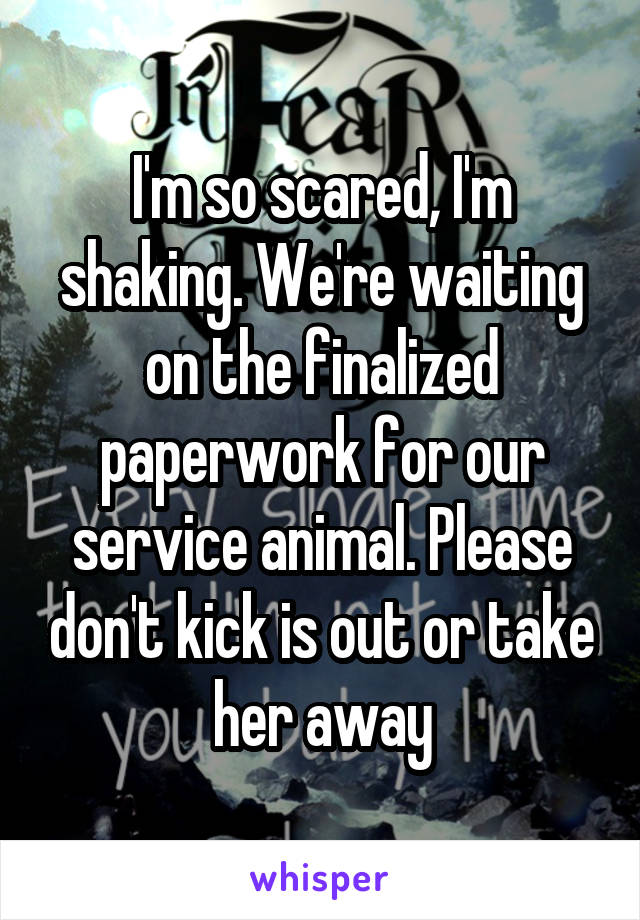 I'm so scared, I'm shaking. We're waiting on the finalized paperwork for our service animal. Please don't kick is out or take her away