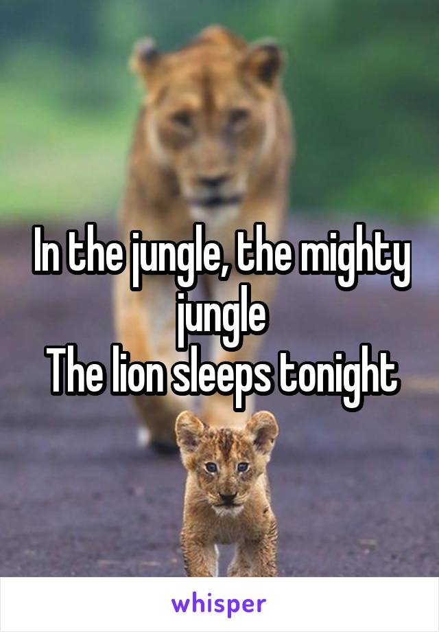 In the jungle, the mighty jungle
The lion sleeps tonight