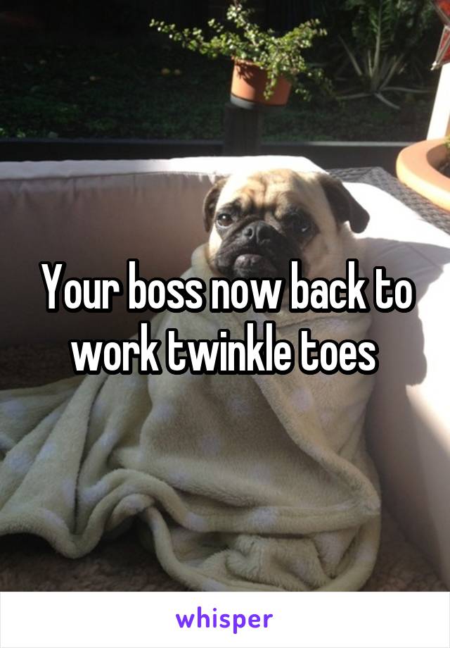 Your boss now back to work twinkle toes 