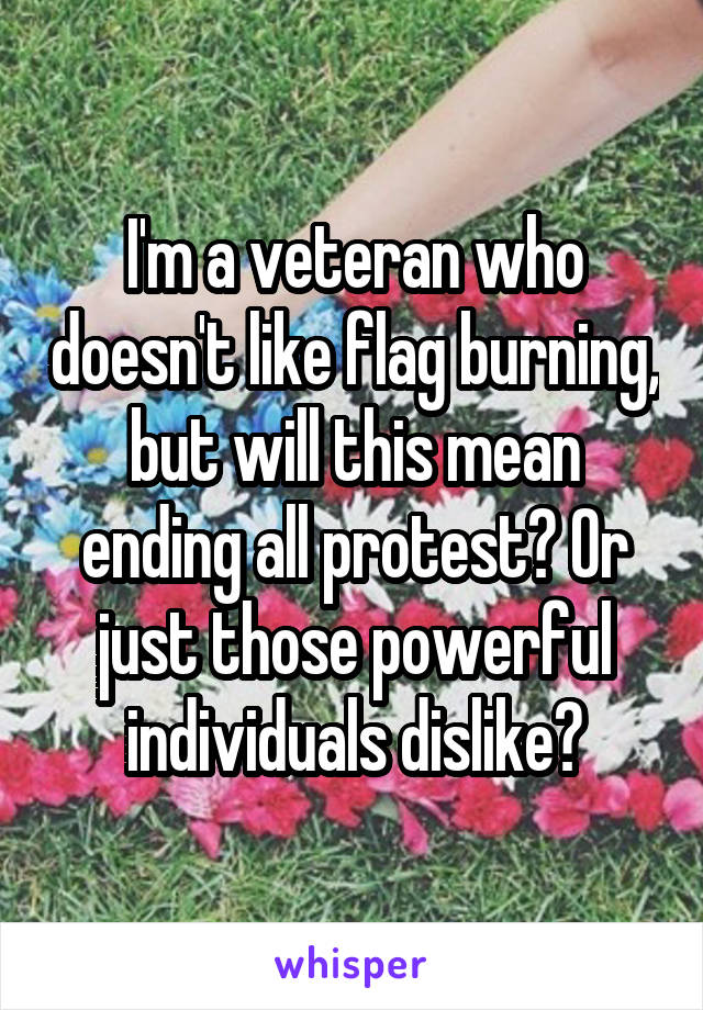 I'm a veteran who doesn't like flag burning, but will this mean ending all protest? Or just those powerful individuals dislike?