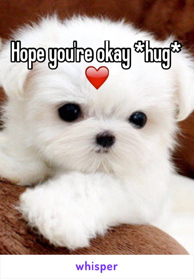 Hope you're okay *hug* ❤️