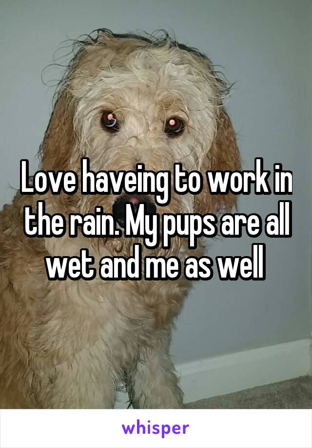 Love haveing to work in the rain. My pups are all wet and me as well 