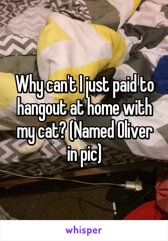 Why can't I just paid to hangout at home with my cat? (Named Oliver in pic)