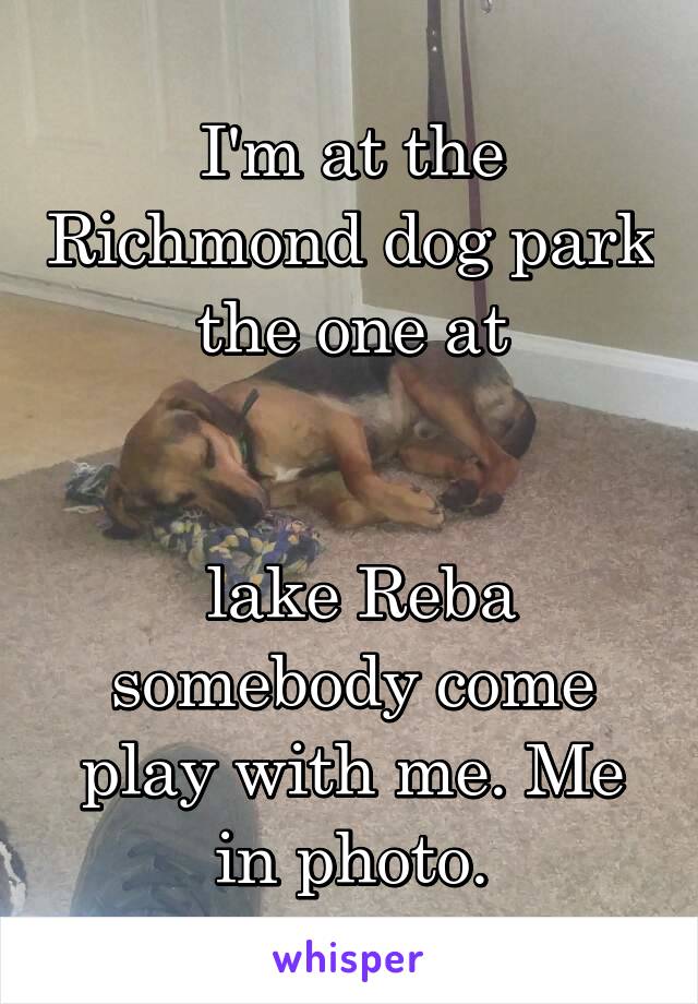 I'm at the Richmond dog park the one at


 lake Reba somebody come play with me. Me in photo.