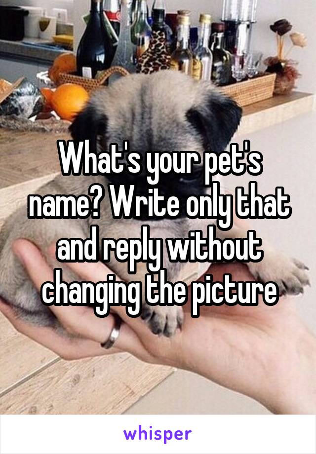 What's your pet's name? Write only that and reply without changing the picture