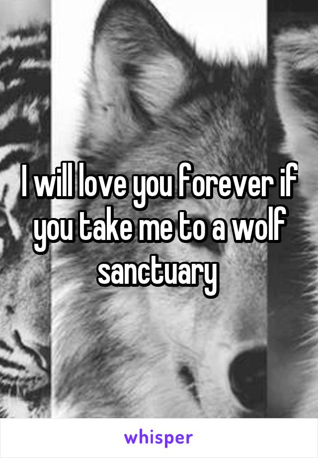 I will love you forever if you take me to a wolf sanctuary 