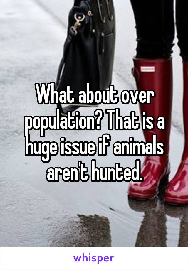 What about over population? That is a huge issue if animals aren't hunted.