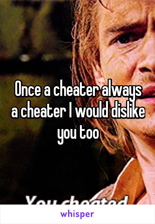 Once a cheater always a cheater I would dislike you too