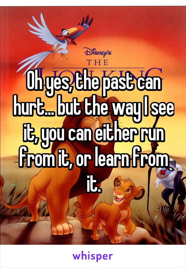 Oh yes, the past can hurt... but the way I see it, you can either run from it, or learn from it.