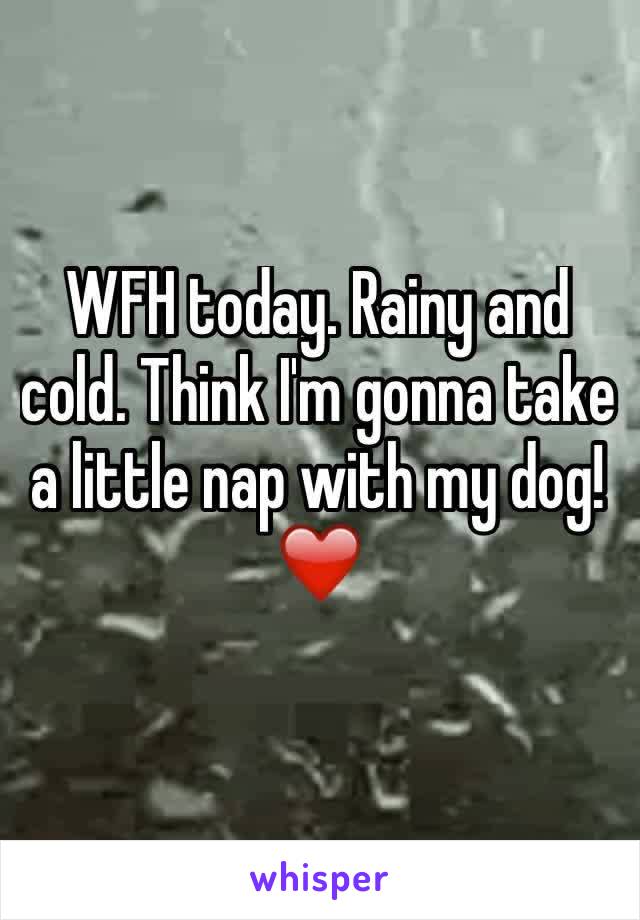 WFH today. Rainy and cold. Think I'm gonna take a little nap with my dog! ❤️