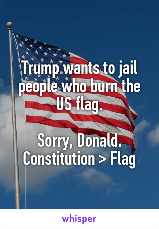 Trump wants to jail people who burn the US flag.

Sorry, Donald.
Constitution > Flag