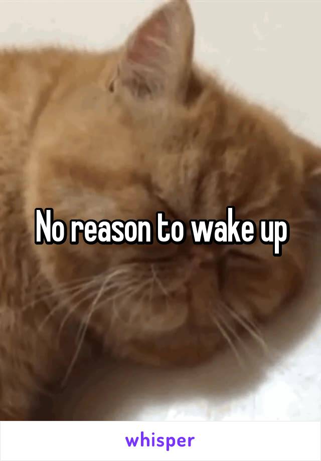 No reason to wake up