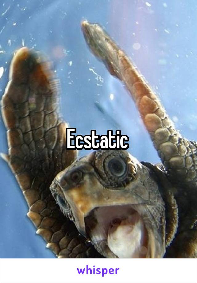 Ecstatic 