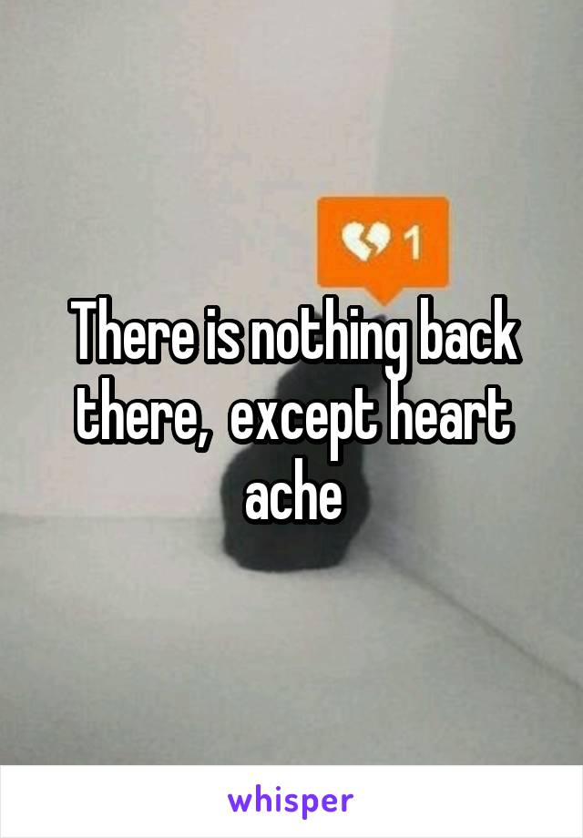 There is nothing back there,  except heart ache