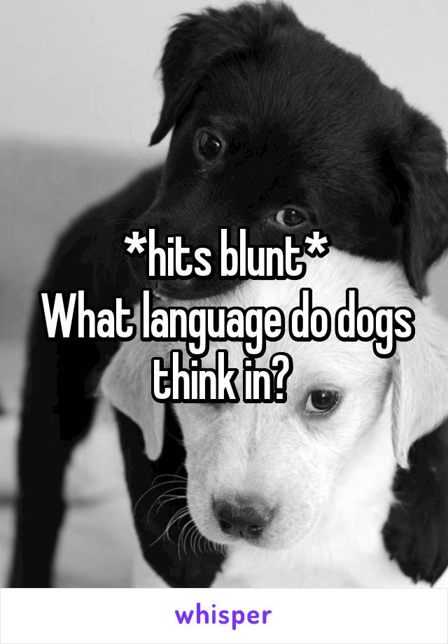 *hits blunt*
What language do dogs think in? 