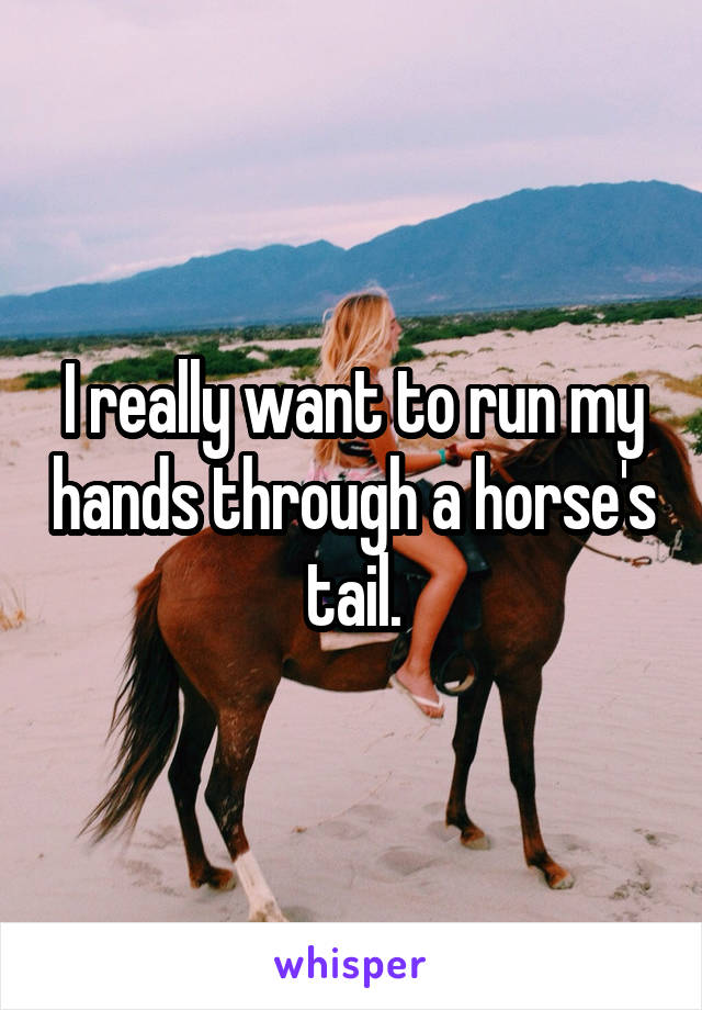 I really want to run my hands through a horse's tail.