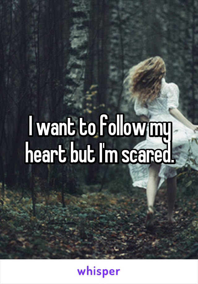 I want to follow my heart but I'm scared.