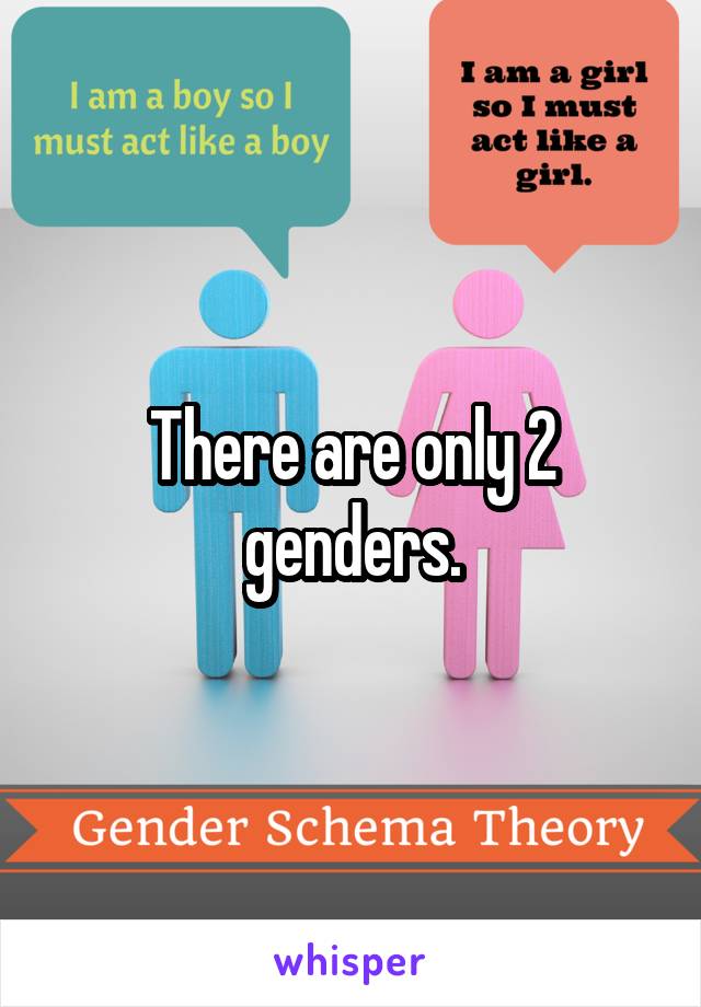 There are only 2 genders.