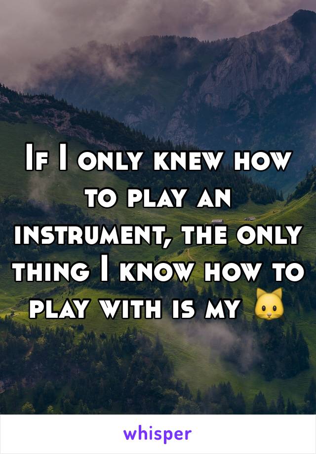 If I only knew how to play an instrument, the only thing I know how to play with is my 🐱