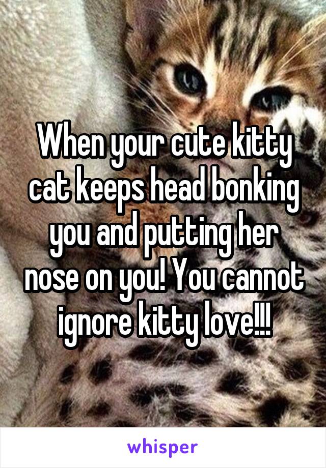 When your cute kitty cat keeps head bonking you and putting her nose on you! You cannot ignore kitty love!!!