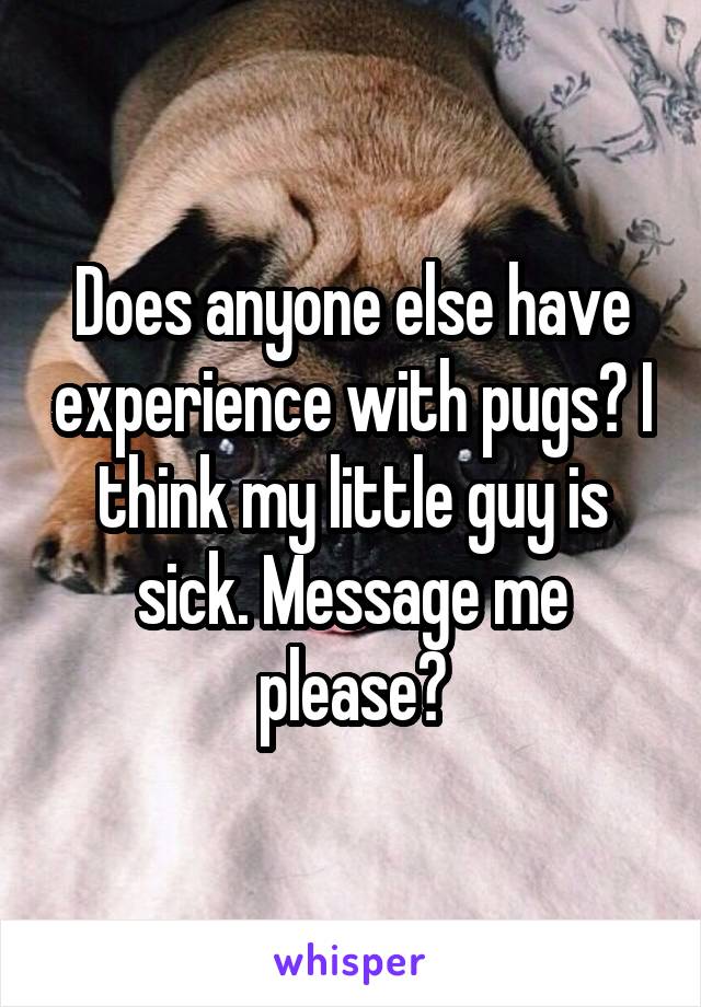 Does anyone else have experience with pugs? I think my little guy is sick. Message me please?