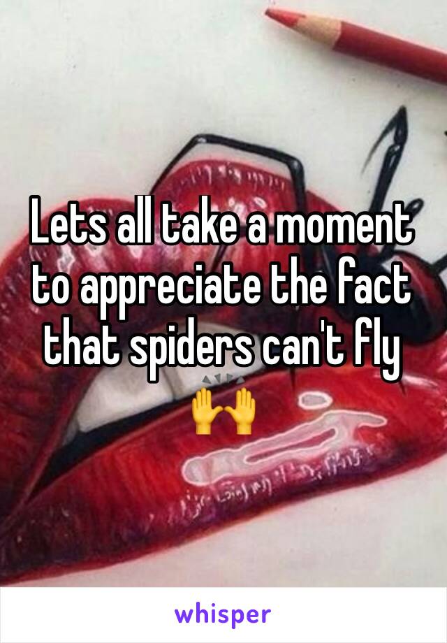 Lets all take a moment to appreciate the fact that spiders can't fly 🙌