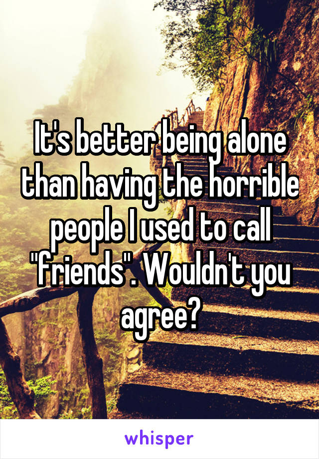 It's better being alone than having the horrible people I used to call "friends". Wouldn't you agree?